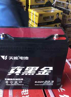 天能石墨烯黑金12V24V48V60V72V22A单祇电瓶6-DZF-22一块照明电池