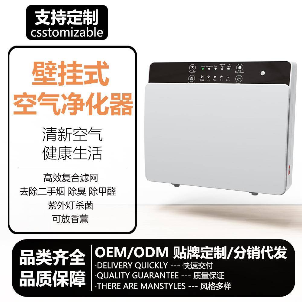 负离子壁挂式空气净化器紫外线家用空气消毒机杀菌智能除甲醛跨境