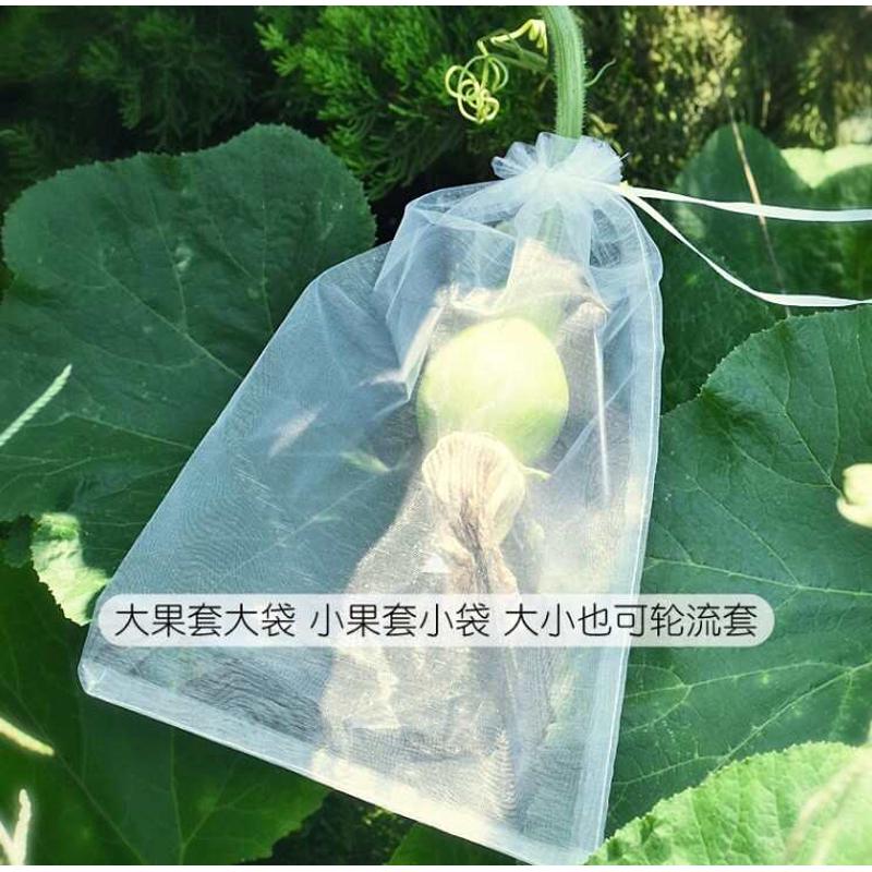 防虫保护袋水果树上包装袋果实袋套袋套果袋包果袋批把桃葡萄