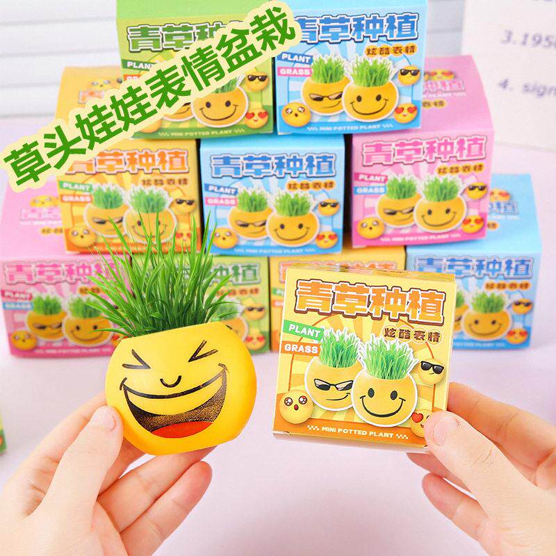 趣味表情草头娃娃盆栽创意公室迷你绿植室内桌面青草种植小礼物