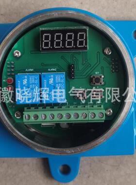 电子振动开关HZD-B-Ⅲ-A1-B2-C2-D2/DC24V振动开关