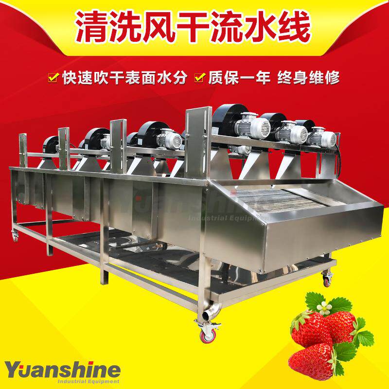 新疆红枣清洗风干机喷淋式水果清洗风干设备豆干清洗风干线厂家