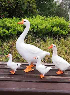 仿真鹅真羽毛小白鹅庭院摆件装饰品鸡鸭家禽动物儿童摄影道具场景