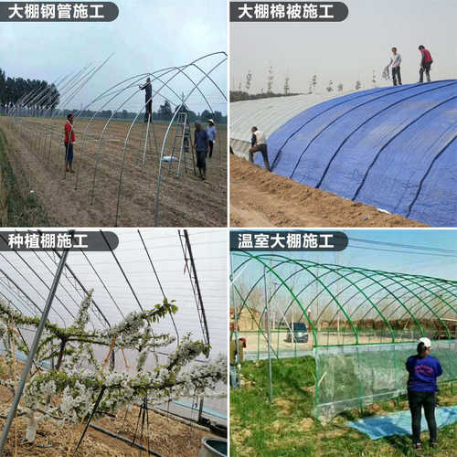 温室大棚建设玻璃温室支持定制农业蔬菜种植搭建畜牧养殖大棚