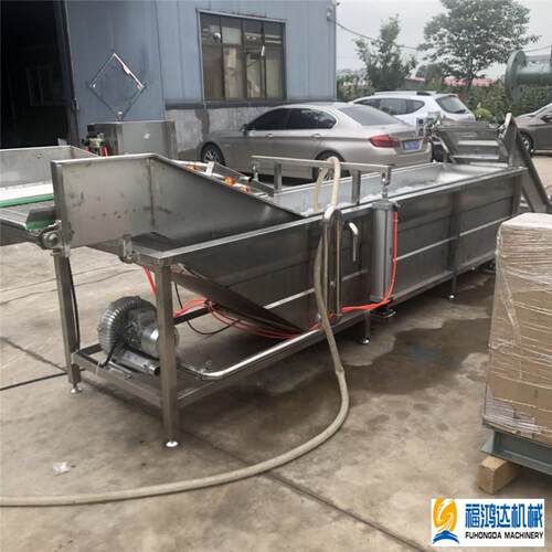 菌菇类气泡清洗机型号尺寸花椒喷淋式清洗去杂机荔枝清洗设备