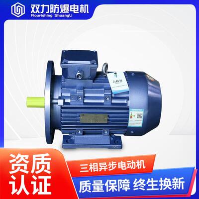 0632.7/1.1/2.2/3/4/.5W立式580V7三3相电动机YE3四极能效电动机