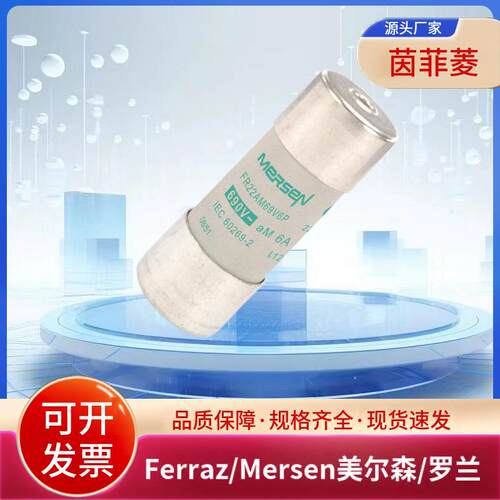 FR22AM50V63P FR22AM50V80P FR22AM50V100P FR22AM50V125P熔断器