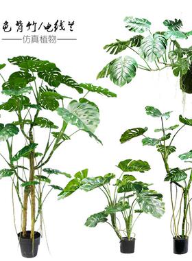 彷真龟背树竹热带绿植物样品屋展示中心室内阳台橱窗大型落地盆栽