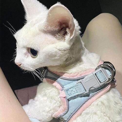牵引绳猫咪衣服外出遛猫专用背心式胸抱婴袋宠物防挣脱神器小型犬
