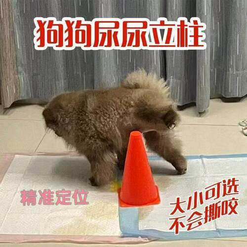 狗狗尿尿立柱引导公狗拉尿神器停车桩子小狗雪糕桶锥筒定点上厕所