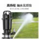 不锈钢潜水220水家用抽水小型抽水泵农用灌溉污水泵清水泵