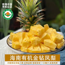海南有机金钻凤梨5斤台湾品种皮薄肉厚香甜味浓，一口爆汁自然成熟