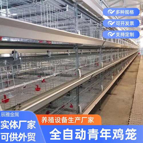 冷镀锌全自动养殖青年鸡笼多层叠立体式自动化机械设备养殖鸡笼
