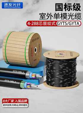 长飞中天国标GYTA/TS4芯光缆6/8/12/24/48/72/96/144室外单模光纤