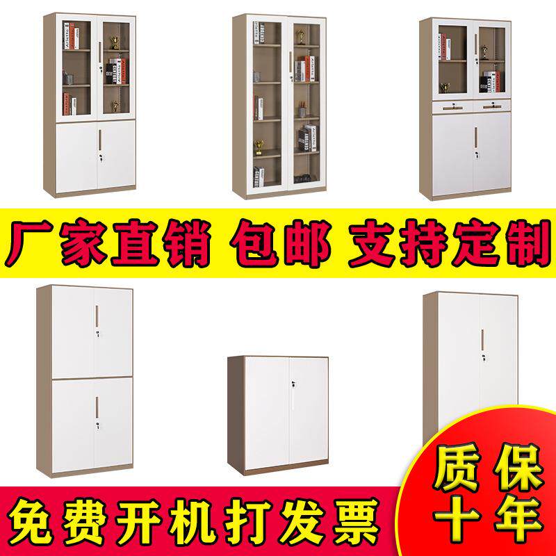 丰力铁皮柜钢制办公柜铁皮文件柜钢制储物柜办公资料柜新款套色柜