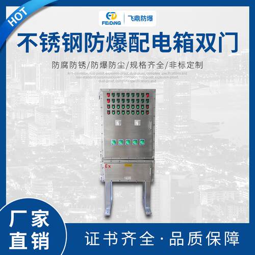 飞鼎 防爆照明动力配电箱 不锈钢防爆配电箱双门 照明动力配电柜