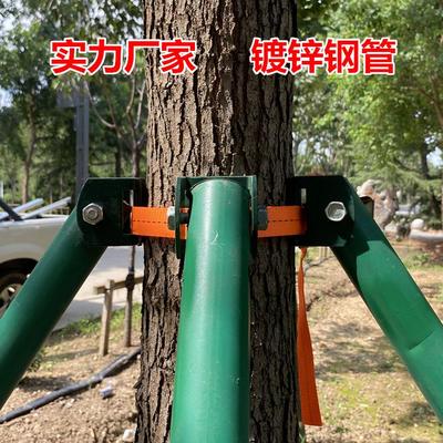 树木支撑架钢管固定器大树支撑杆乔木防风抱箍园林金属树支撑支架