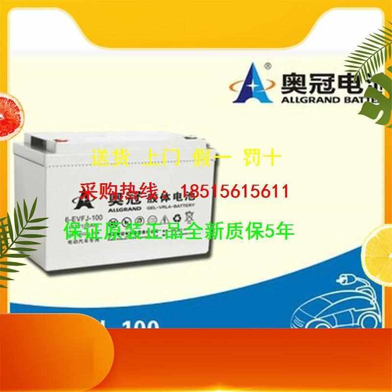 奥冠蓄电池6-EVFJ-100 奥冠12V100AH电动汽车太阳能专用胶体电池