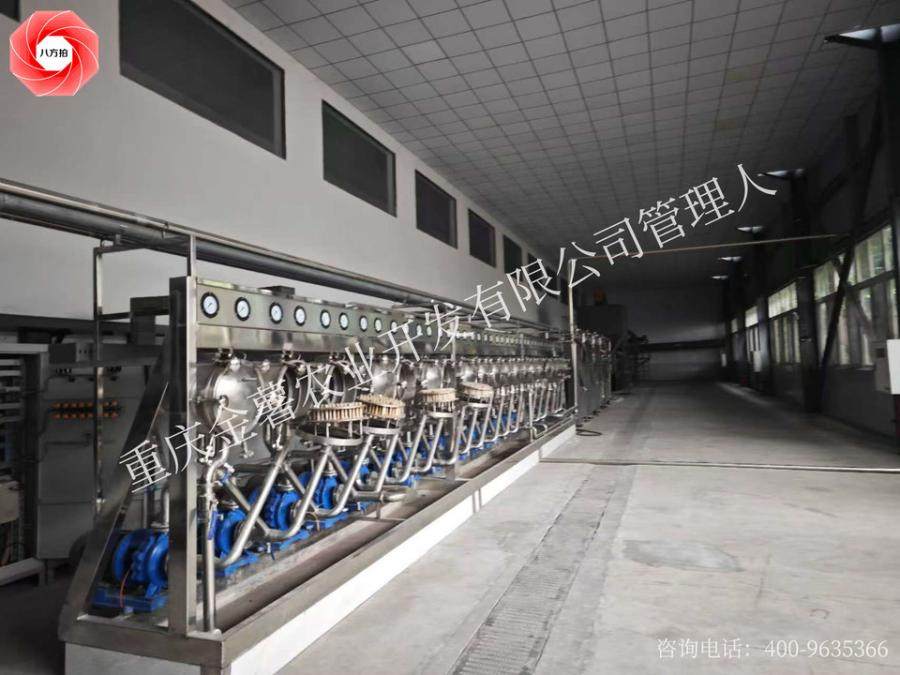 12月23日重庆某公司名下全自动淀粉生产线和自动拆边缝合机组网络拍卖公告