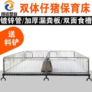 仔猪保育床小猪保育床塑料漏粪板保育床小猪双体保育床猪仔保育床