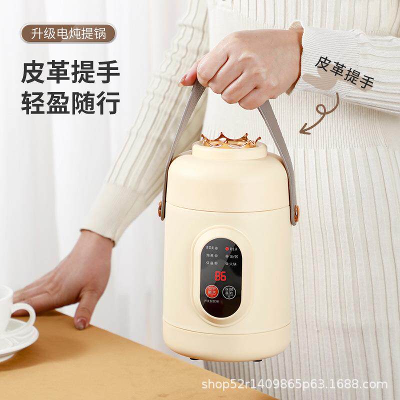 多功能电炖杯办公室迷你养生壶小型电炖锅家用煮粥便携式煲汤礼品