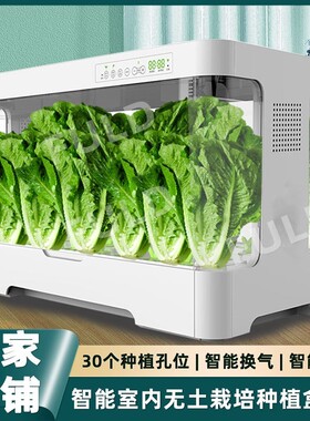 室内种植蔬菜水培盒子桌面种菜箱家庭智慧花盆农场