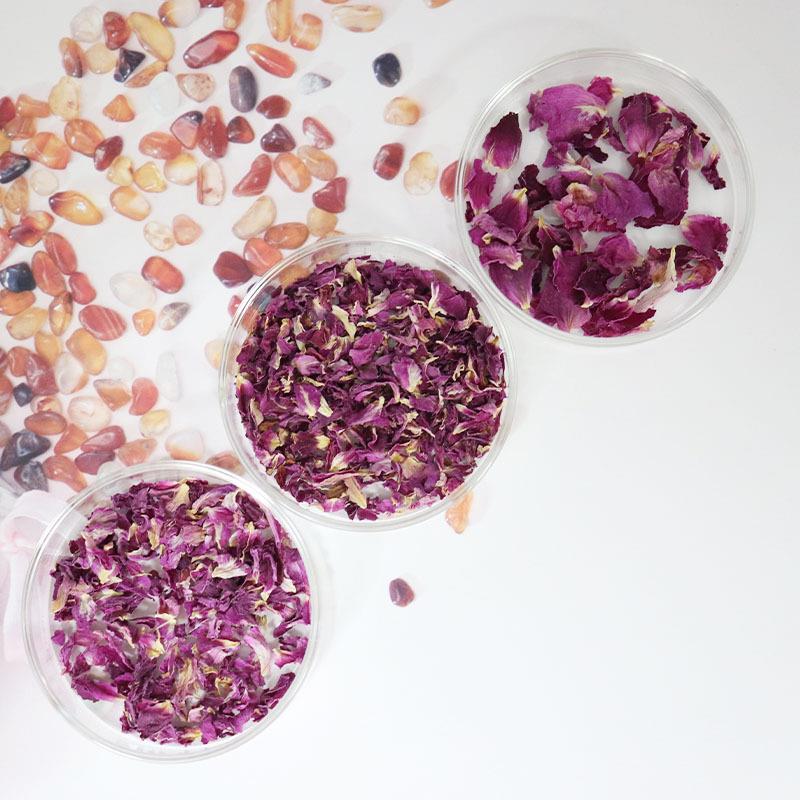 日化级真花 干花玫瑰花茉莉花瓣 洋甘菊花瓣 高温杀青颜色艳丽