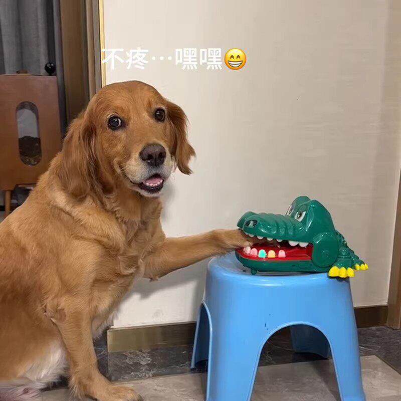 宠物狗狗玩具鳄鱼咬手玩具耐咬逗狗金毛恶搞有趣玩具解闷自嗨