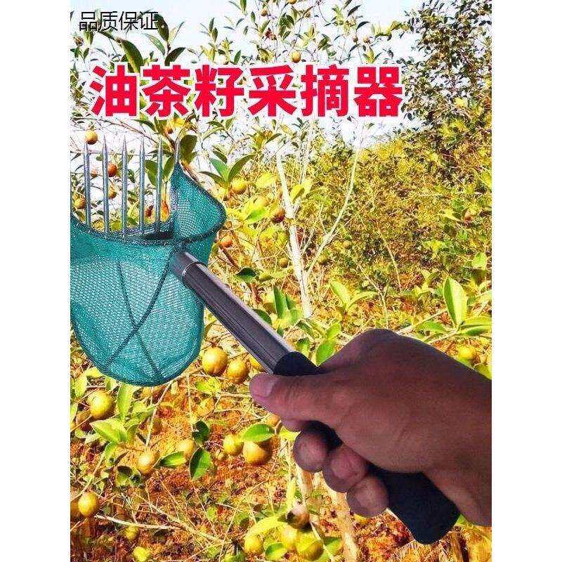 油茶果采摘神器采茶树籽山茶子高空摘果器伸缩杆酸枣山楂核桃园林