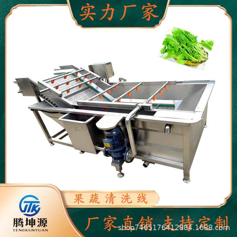 辣椒山野菜蒲公英果蔬清洗机商用蔬菜全自动喷淋式气泡清洗机
