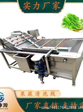 辣椒山野菜蒲公英果蔬清洗机商用蔬菜全自动喷淋式气泡清洗机