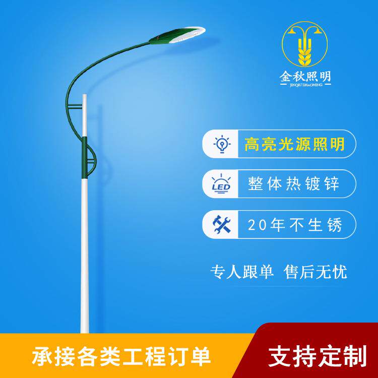 定制臂led路灯灯杆7米8米10米双臂路灯厂区热镀锌路灯杆加工
