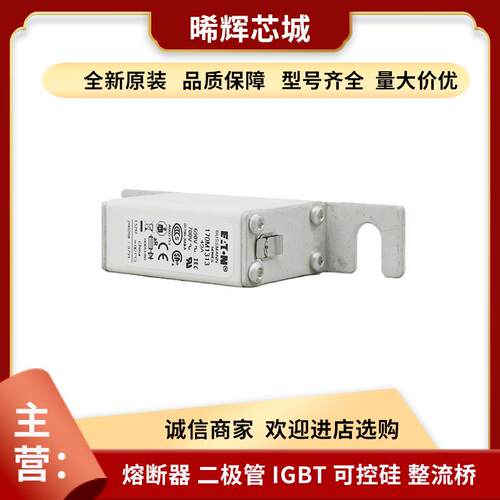 170M1314 170M1315 库存充足 型号齐全 标准封装现货熔断器直供