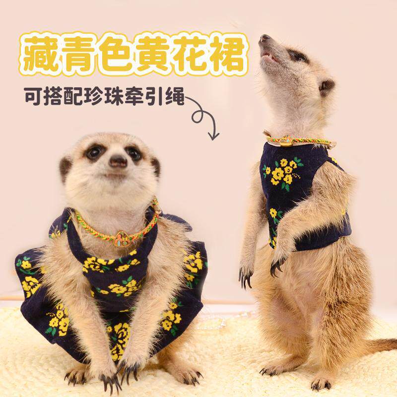 日系藏青色黄花狐獴衣松鼠衣服可爱裙子马甲狐獴宠物牵引绳