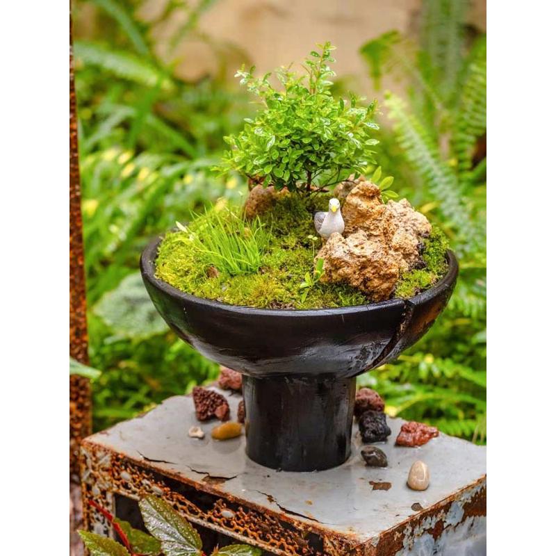 碳化木花器侘寂风黑色木制花瓶插花艺术摆件干花民宿装饰品
