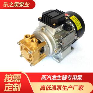 小型蒸汽发生器用水泵电蒸汽发生器高温热水泵蒸汽机循环泵