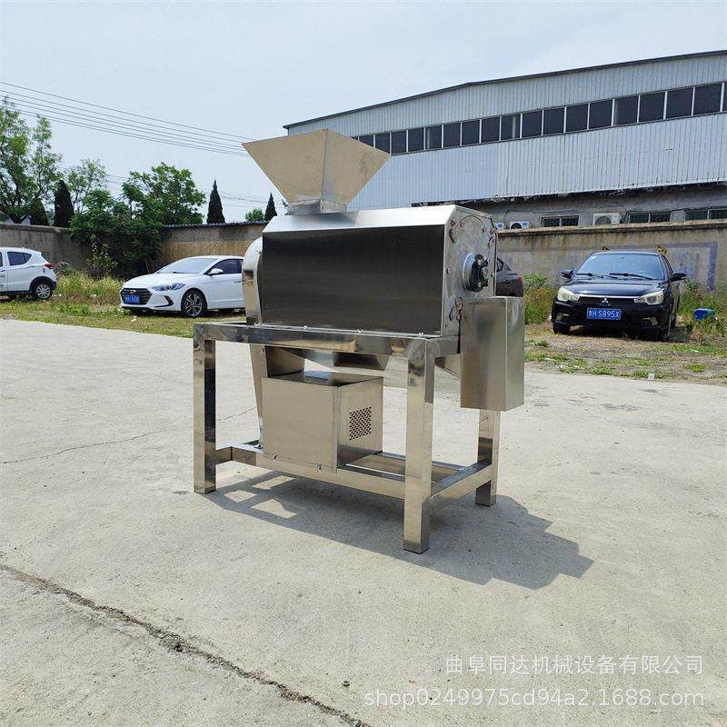 大型果蔬去核打浆机番石榴樱桃青枣乌梅榴莲去籽商用工业设备