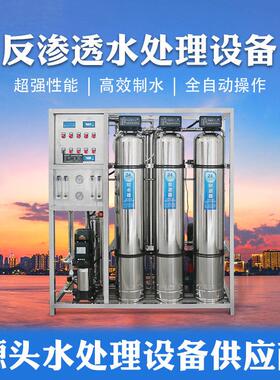 工厂直销效双级反渗透水处理设备0.5吨不锈钢实验室超纯水机