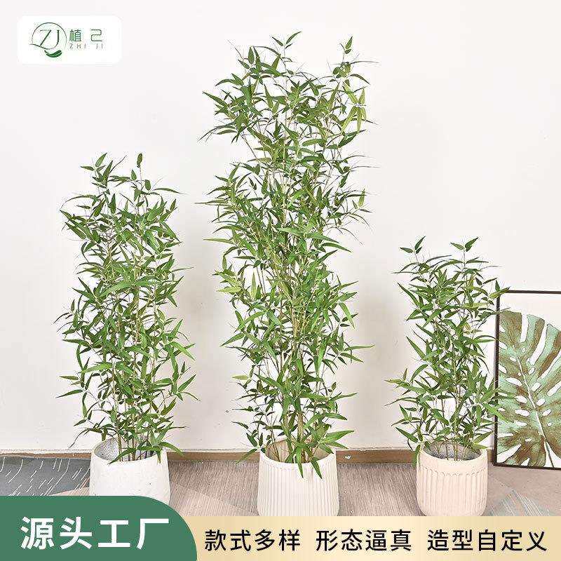 仿生绿植竹子装饰树家居客厅茶室新中式假竹子植物盆栽造景摆件