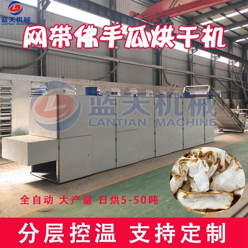 佛手瓜烘干机网带佛手柑金佛手瓜多层干燥机大型佛手果烘干设备