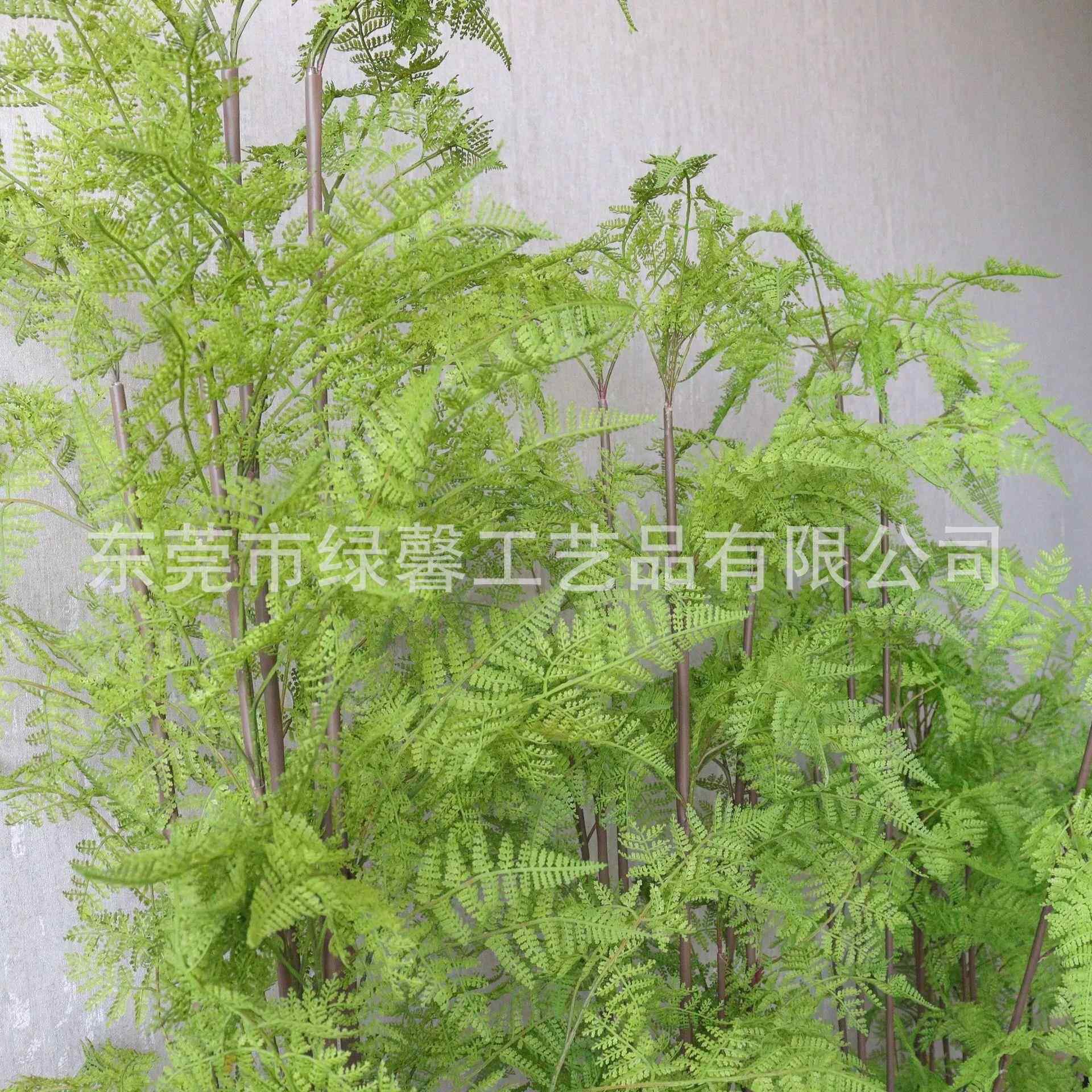 森系仿真蕨类仿真马尾蕨盆栽装饰落地清新造景仿真铁线蕨厂家现货
