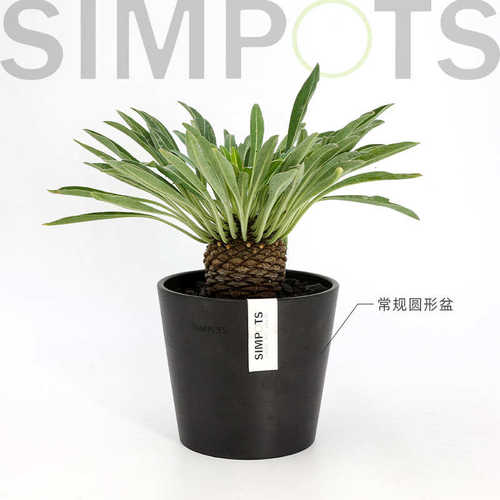 SIMPOTS树脂黑胶轻奢高级感绿植花盆兰花北欧室内禅意日系花盆
