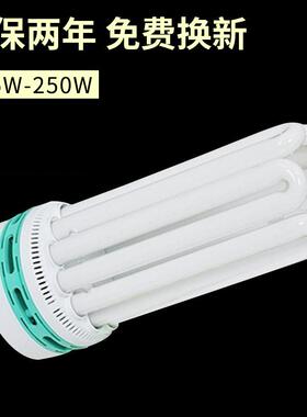 6U节能灯大功率节能灯125W150w180w200W三基色节能灯省电80%