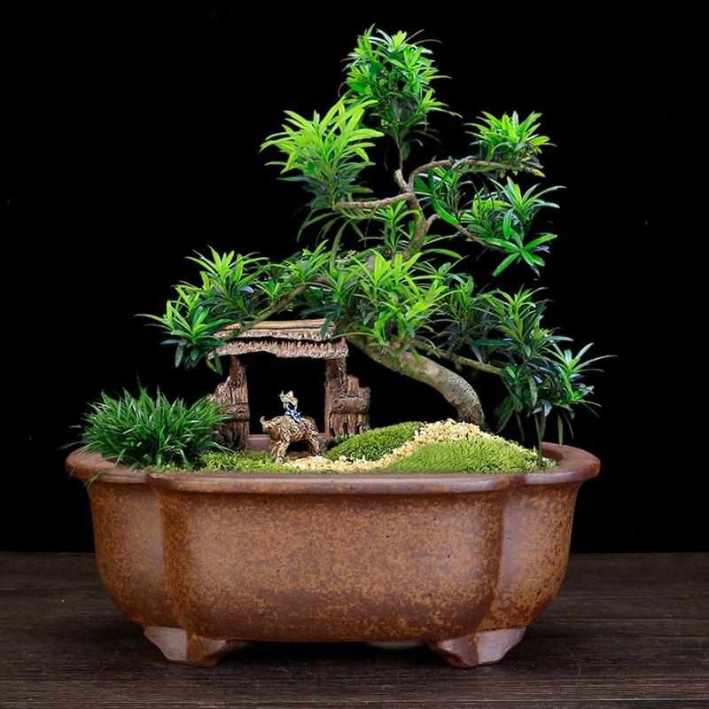 紫砂花盆柴烧深海棠盆桌面松柏雀梅古典盆景盆竹子假山附石盆批发