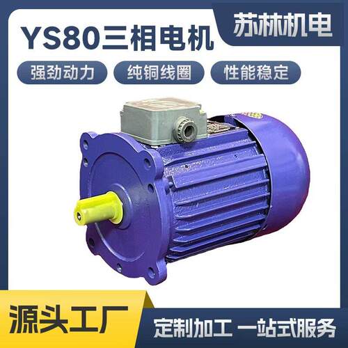 鼎益定制YS80三相电机热收缩机烘箱磨浆机长轴循环风机750W长轴电