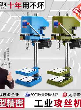 攻丝机大功率重型工业台式攻牙机丝攻机小型全自动SWJ-12套丝螺纹