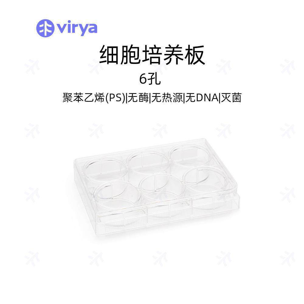 Virya细胞培养板6孔12孔24孔48孔96孔3519609