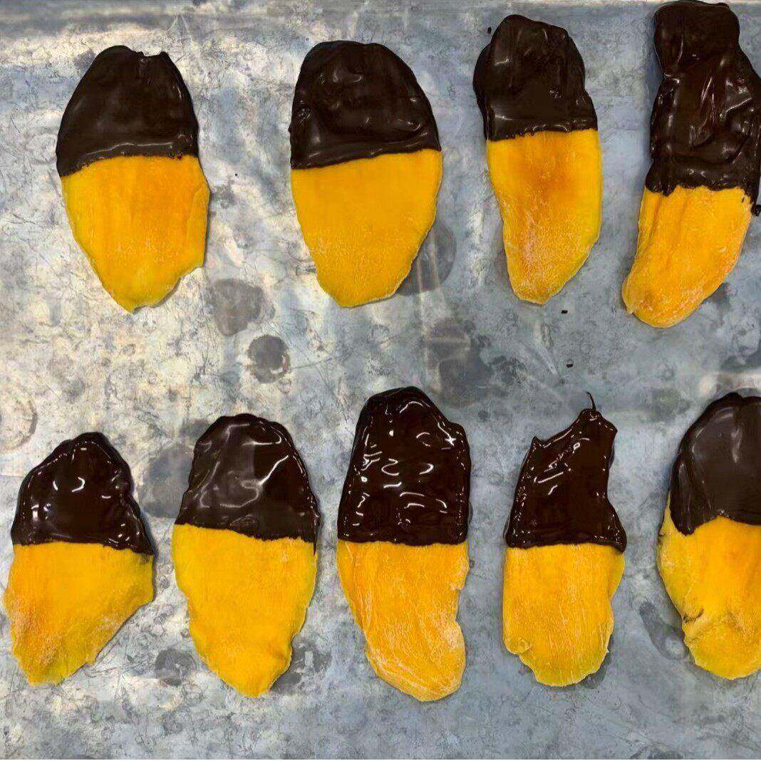 蛋卷巧克力淋浆机厂家带保温泡芙威化夹层饼干巧克力涂淋浆机