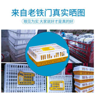 框箱鸡鸭苗运输塑料加厚周转鸡成周转家用鸡笼 大号鸡筐笼笼子装