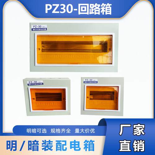 非国标工程用PZ30回路箱明装空开箱暗装强电箱工地开关配电箱